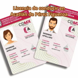 Licencia de conducir en Acatlán de Pérez Figueroa