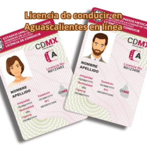 Licencia de conducir en Aguascalientes en línea