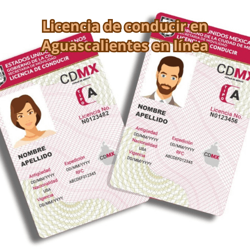 Licencia de conducir en Aguascalientes en línea