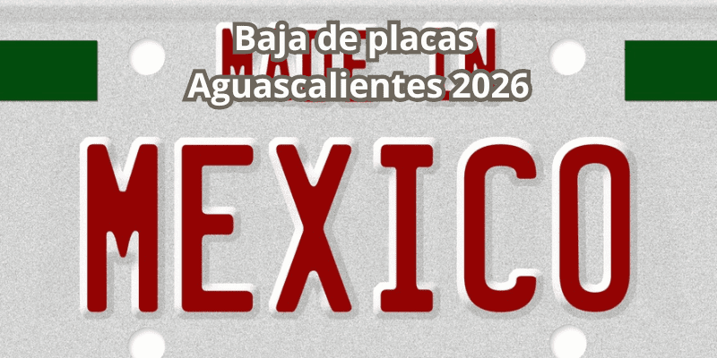 Baja de placas aguascalientes 2026