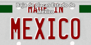 Baja de placas Estado de México