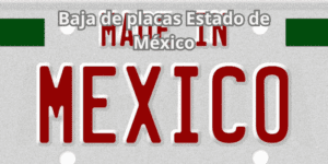 Baja de placas Estado de México