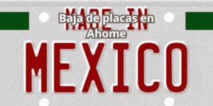 Baja de placas en Ahome