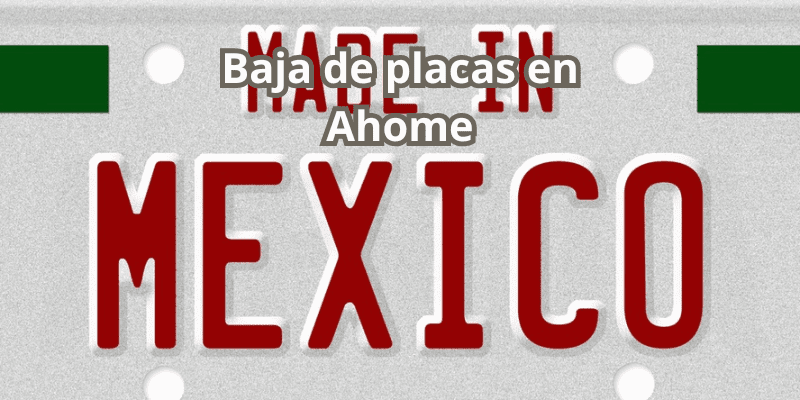 Baja de placas en Ahome