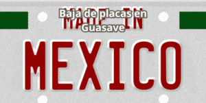 Baja de placas en Guasave