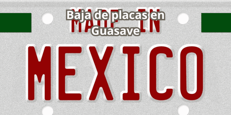 Baja de placas en Guasave