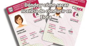 Dónde y cómo sacar licencia de conducir en Elota