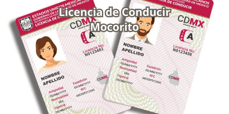 Licencia de Conducir Mocorito