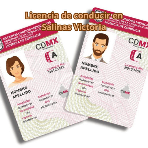 Licencia de conducir en Salinas Victoria