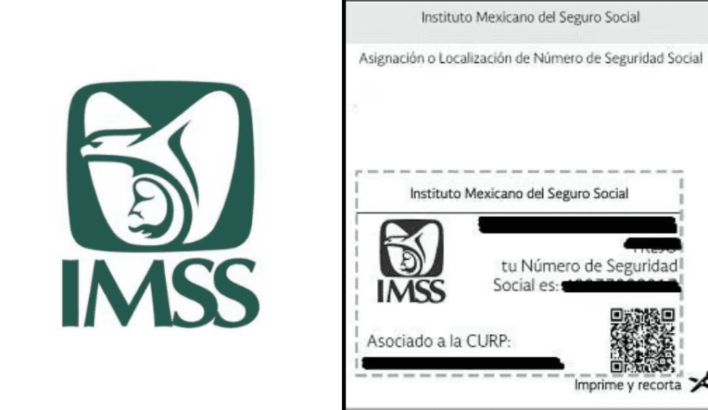 Cómo sacar el NSS de mi hijo por primera vez en México