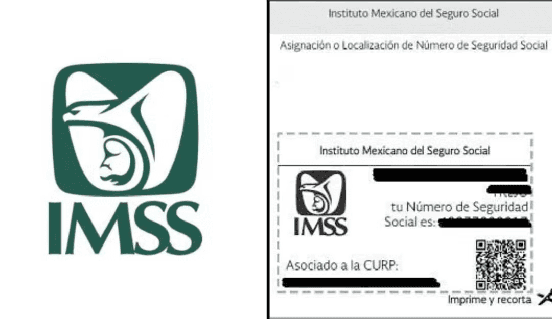 Cómo sacar el NSS de mi hijo por primera vez en México