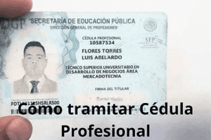 Trámite para la cédula profesional de doctorado