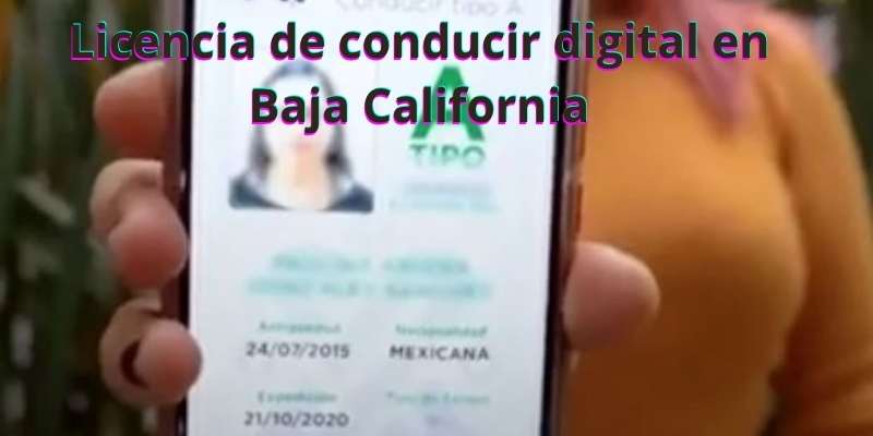 Licencia de conducir digital en Baja California