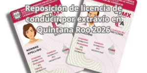 Reposición de licencia de conducir por extravío en Quintana Roo 2026