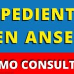 ANSES consultar expediente jubilación: guía paso a paso