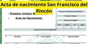 Acta de nacimiento San Francisco del Rincón