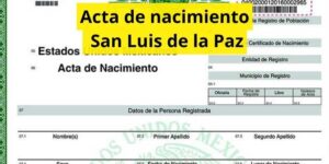 Acta de nacimiento San Luis de la Paz