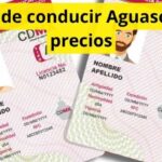 Licencia de conducir Aguascalientes precios actualizados 2026
