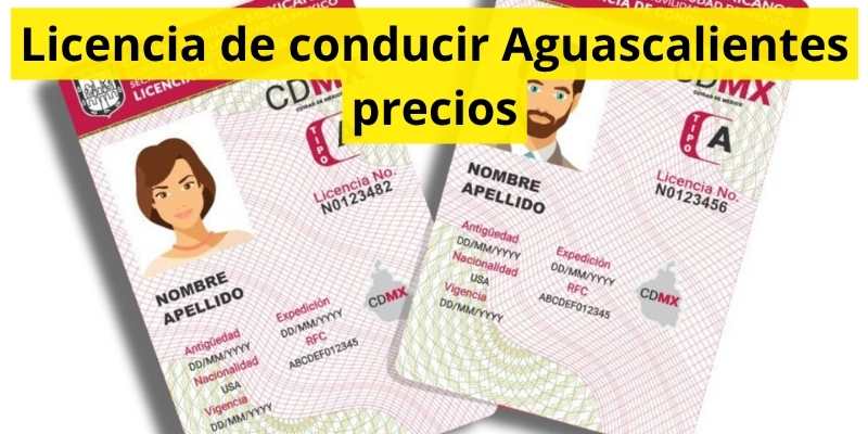 Licencia de conducir Aguascalientes precios