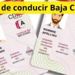 Licencia de conducir Baja California: requisitos, costos y cómo tramitarla paso a paso