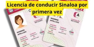 Licencia de conducir Sinaloa por primera vez