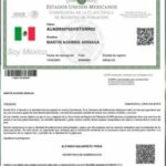 ¿Por qué no puedo descargar mi CURP? Soluciones rápidas y guía completa
