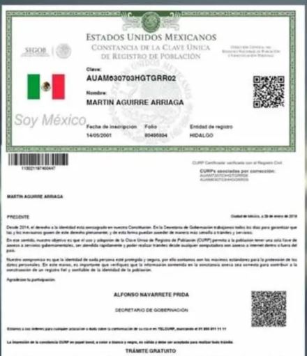 ¿Por qué no puedo descargar mi CURP?