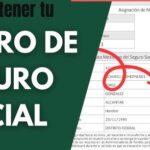 Dónde sacar el número de Seguro Social por primera vez en México paso a paso
