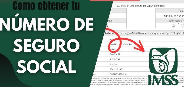 Dónde sacar el número de Seguro Social por primera vez