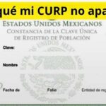 ¿Por qué mi CURP no aparece? Soluciones rápidas y qué hacer paso a paso