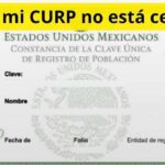 ¿Por qué mi CURP no está certificada y cómo solucionarlo paso a paso?