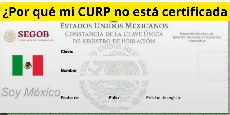¿Por qué mi CURP no está certificada
