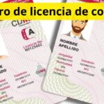 Número de licencia de conducir: dónde esta y para qué sirve