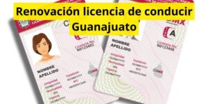 Renovación licencia de conducir Guanajuato