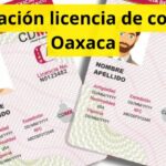 Renovación licencia de conducir Oaxaca: requisitos, costo y cita