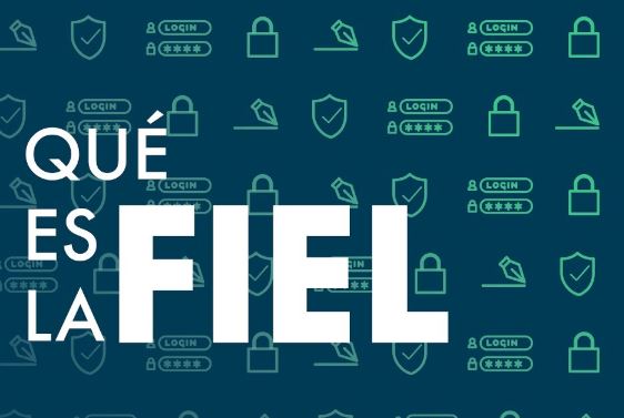 Requisitos para tramitar la FIEL