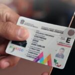 Licencia de Conducir Tipo E: Requisitos, Costos, Vehículos Permitidos y Cómo Tramitarla