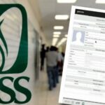 Cómo saber si estoy dado de alta en el IMSS: métodos para verificar tu afiliación