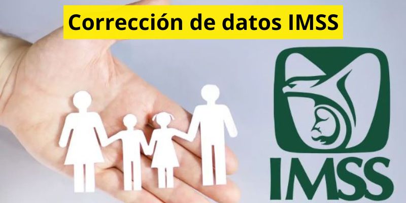 Corrección de datos IMSS