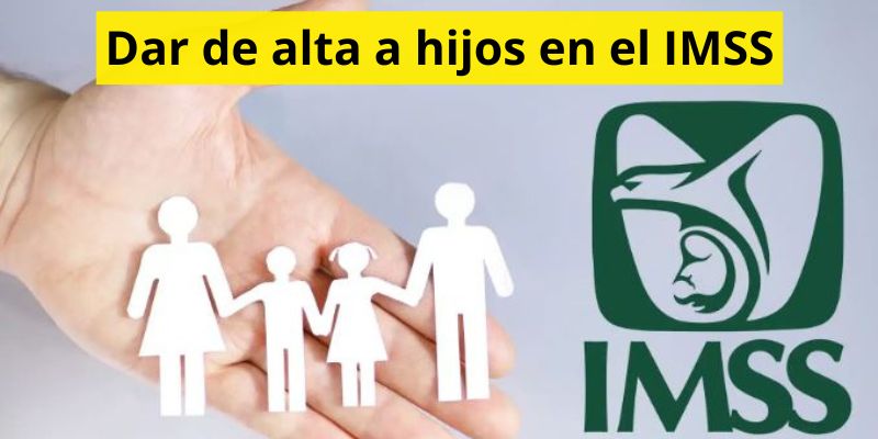 Dar de alta a hijos en el IMSS