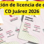 Renovación de licencia de conducir CD Juárez 2026: precio, requisitos y documentos