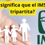 ¿Por qué el IMSS es tripartita? Así participan trabajadores, patrones y Gobierno