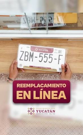 reemplacamiento en línea de Yucatán