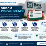 Cómo sacar la tarjeta patronal del IMSS 2026: requisitos y trámite para obtenerla