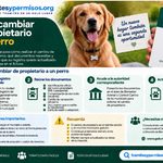 Cómo cambiar de propietario a un perro 2026: requisitos y trámite para actualizar el dueño