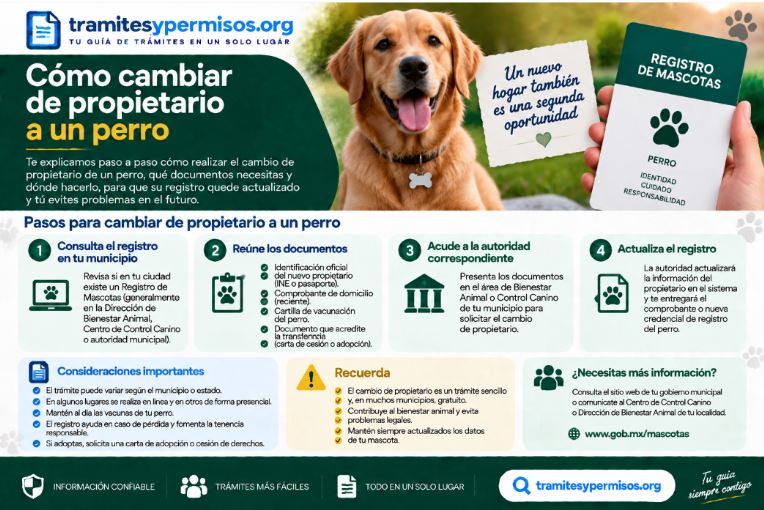 Cómo cambiar de propietario a un perro 2026