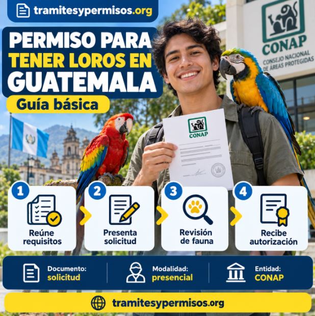 Permiso para tener loros en Guatemala 2026